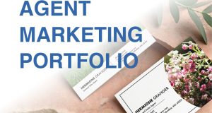 amp agent marketing portfolio senior marketing specialists medicare FMO